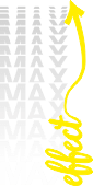 Premixes Max-effect